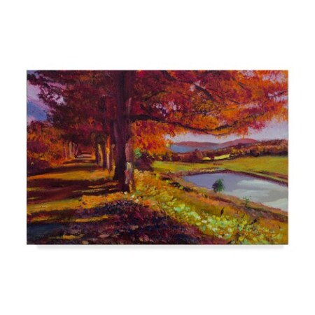 David Lloyd Glover 'A October Country Road' Canvas Art,16x24